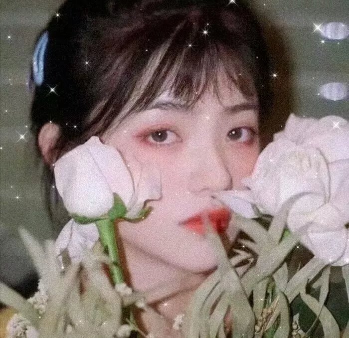 我是太阳 高清封面